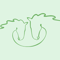 FiliumApp