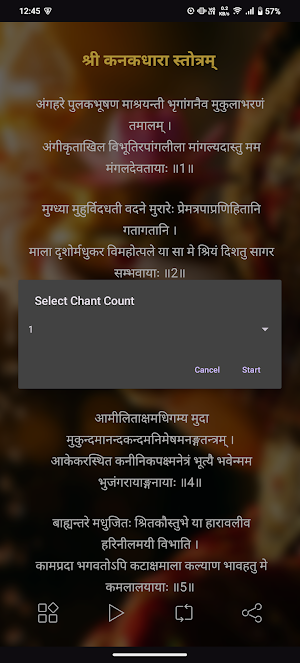 Kanakdhara Stotra With Audio Screenshot 2
