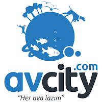 Avcity.com