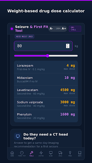 Seizure Decision Tool Screenshot 1