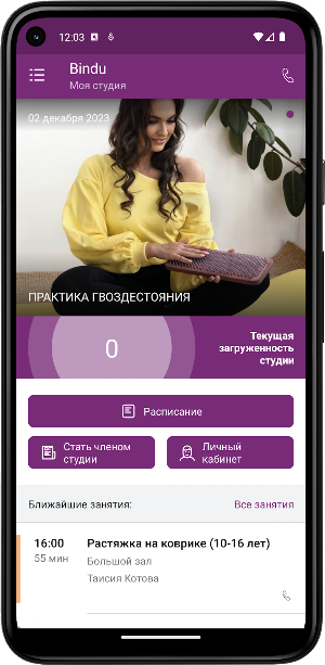 Bindu: йога и творчество Screenshot 1
