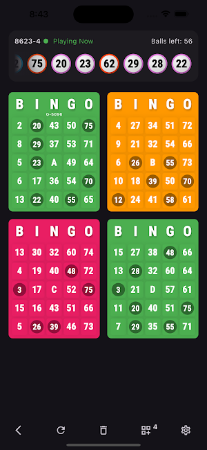 Bingoka Screenshot 3