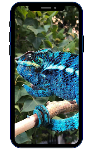 Lizard Wallpapers Screenshot 2