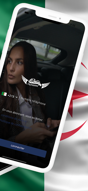 Depanini Screenshot 3
