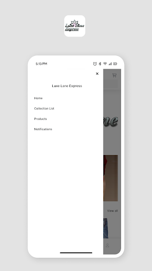 Luxe Lane Express Screenshot 1