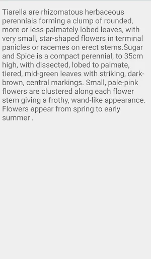 Tiarella Sugar And Spice Screenshot 1
