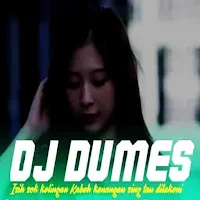 DJ Ra Pengen Liyane
