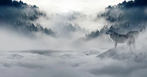 Winter wallpapers Screenshot 2