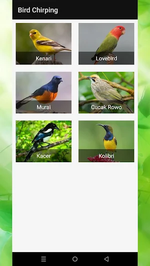 Bird Chirping Sounds Screenshot 0