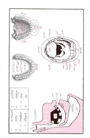 Jamal Ul Quran Screenshot 0