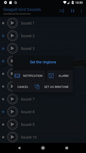 Seagull bird sounds ~ Sboard.pro Screenshot 2