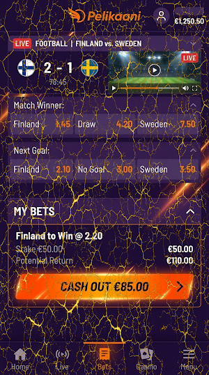 Pelikaani Casino Screenshot 0