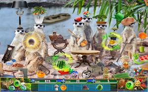 Hidden Objects Animal Puzzle Screenshot 3