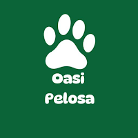 Oasi Pelosa
