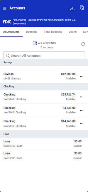 Bangor Treasury Management Screenshot 2