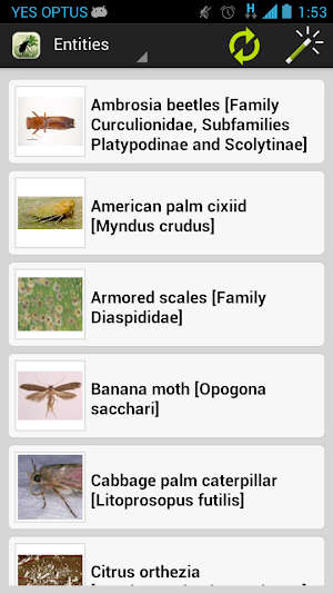 Palm Screening Aid Key Screenshot 2