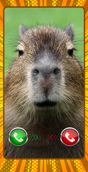 Capybara Funny calling Screenshot 2