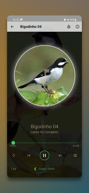 Canto De Bigodinho Completo Screenshot 3