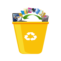 Recycle Bin Recovery File