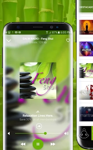 Relaxing Music for Sleeping - Relaxing Melodies Screenshot 0