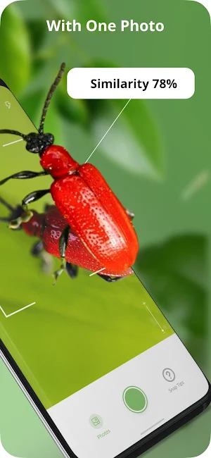 Identify This Bug Screenshot 1