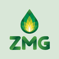 Rede ZMG Combustíveis