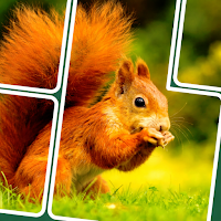 Jigsawcard : Solitaire Puzzle