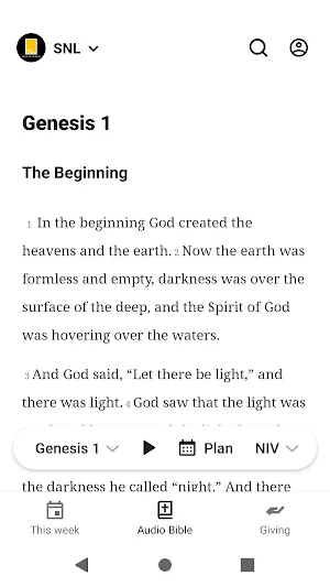 salt and light US Screenshot 1