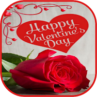 Valentines Day Flowers 2024