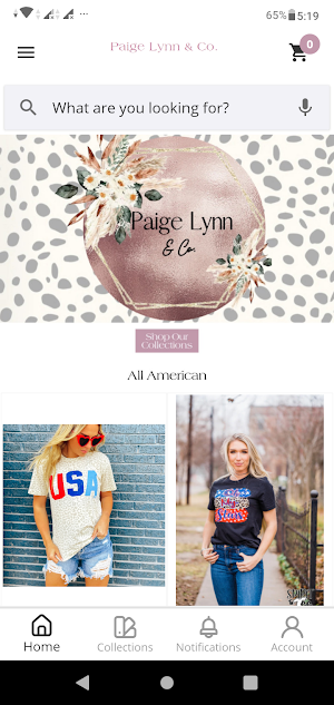 Paige Lynn & Co. Screenshot 0