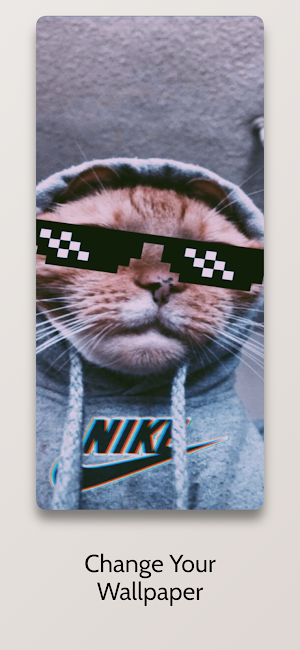 Funny Memes Wallpapers Screenshot 1