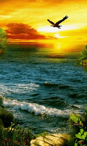 Nature Animated Wallpapers Screenshot 2