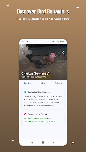 Bird Identifier - AI Photo ID Screenshot 3