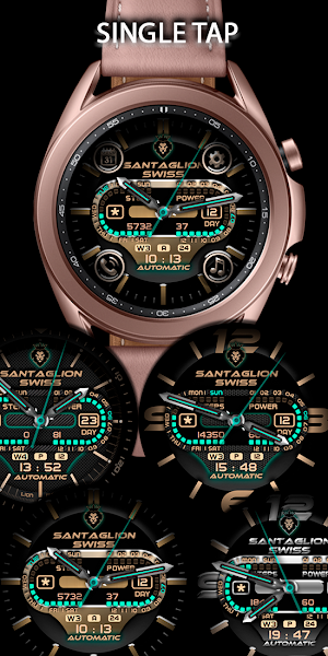 Black Bronze Lion bu SANTALiON Screenshot 1