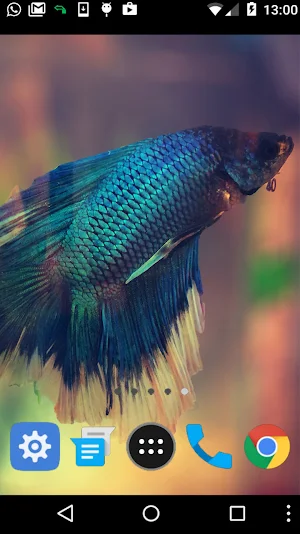 betta fish moving wallpaper Screenshot 1