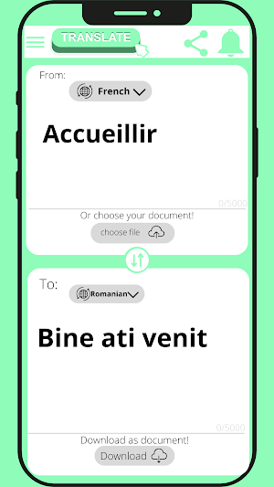 Romanian - French Translator Screenshot 1