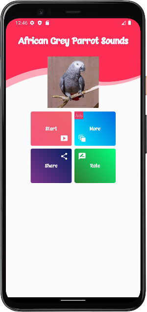 African Grey Parrot Sounds screenshot 1