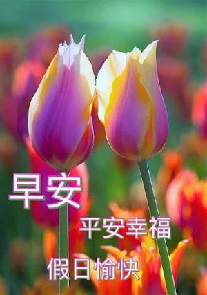 早上好 Screenshot 0
