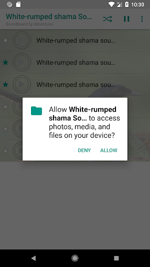 White-rumped shama Sounds ~ Sboard.pro Screenshot 1