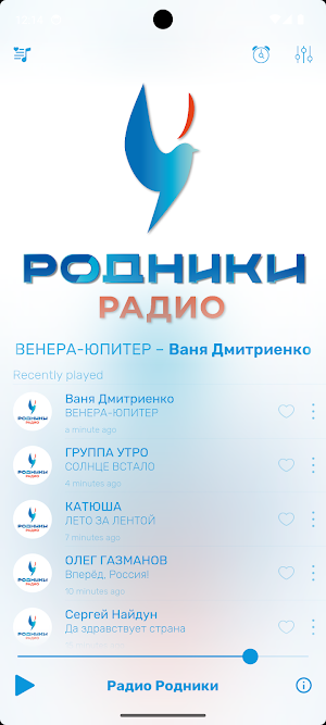 Радио Родники Screenshot 0