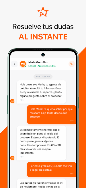 Falcon Dispute Screenshot 2