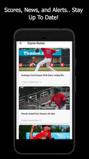Goldeyes Gameday Screenshot 2