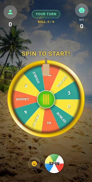 Spin Cricket Screenshot 3
