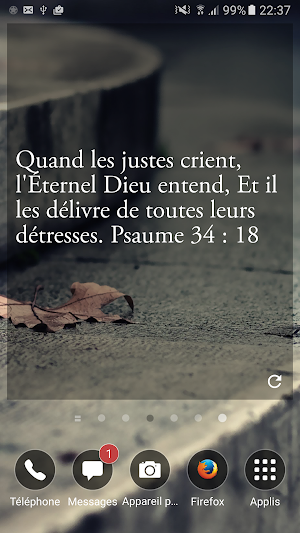 Widget promesses bibliques Screenshot 1