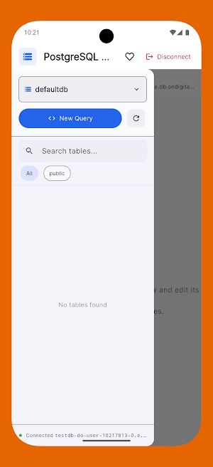 PgSQL Visual Manager Screenshot 3