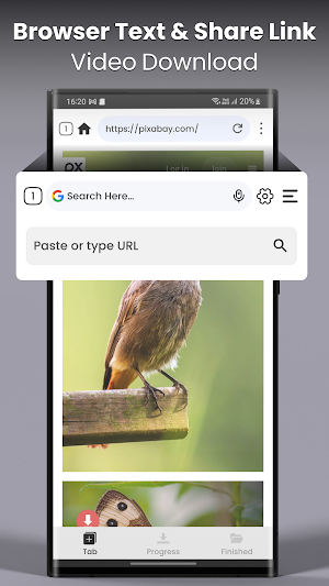 Video Downloader Screenshot 1