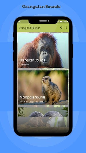 Orangutan Sounds Screenshot 0
