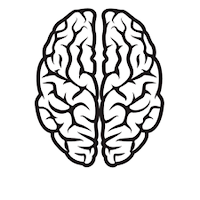 Brain Test