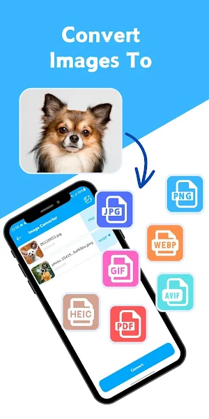 Image Converter: JPG, PNG, PDF Screenshot 2