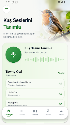 Boring Bird Sound Identifier Screenshot 0
